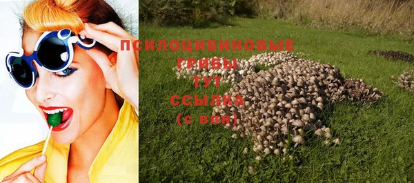 сатива Балахна