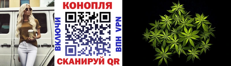 Конопля SATIVA & INDICA Ясногорск